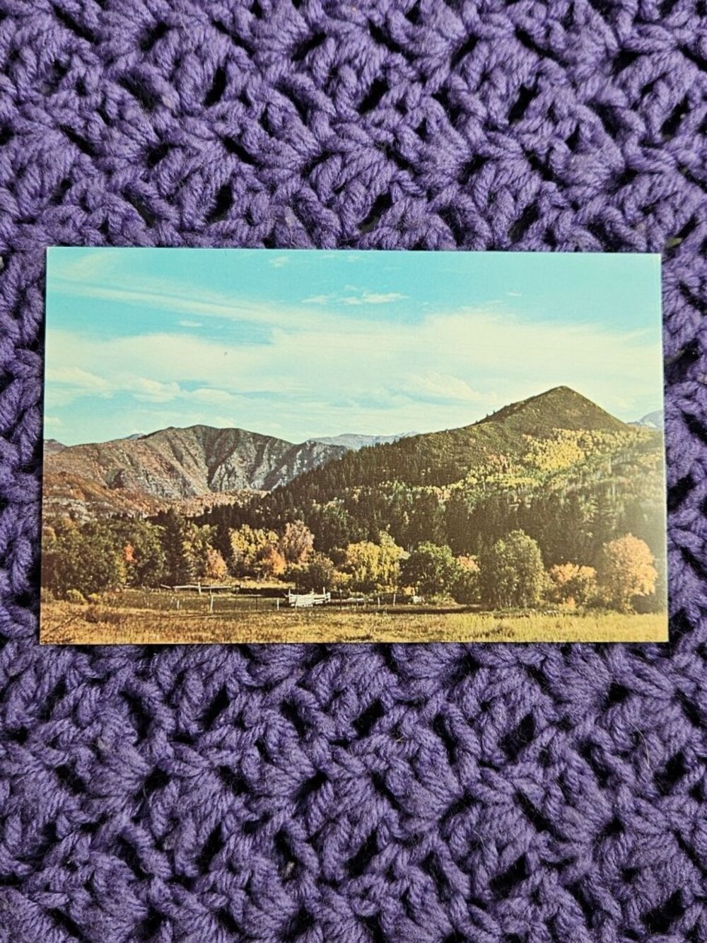 Color from the Alps of America No. 5 Postcard